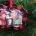 custom holiday ornaments