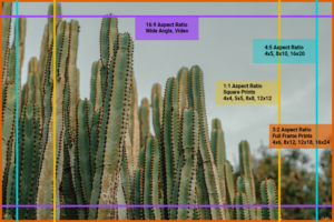 The Best Print Size for Mobile Photos vs DSLR Photos & Why